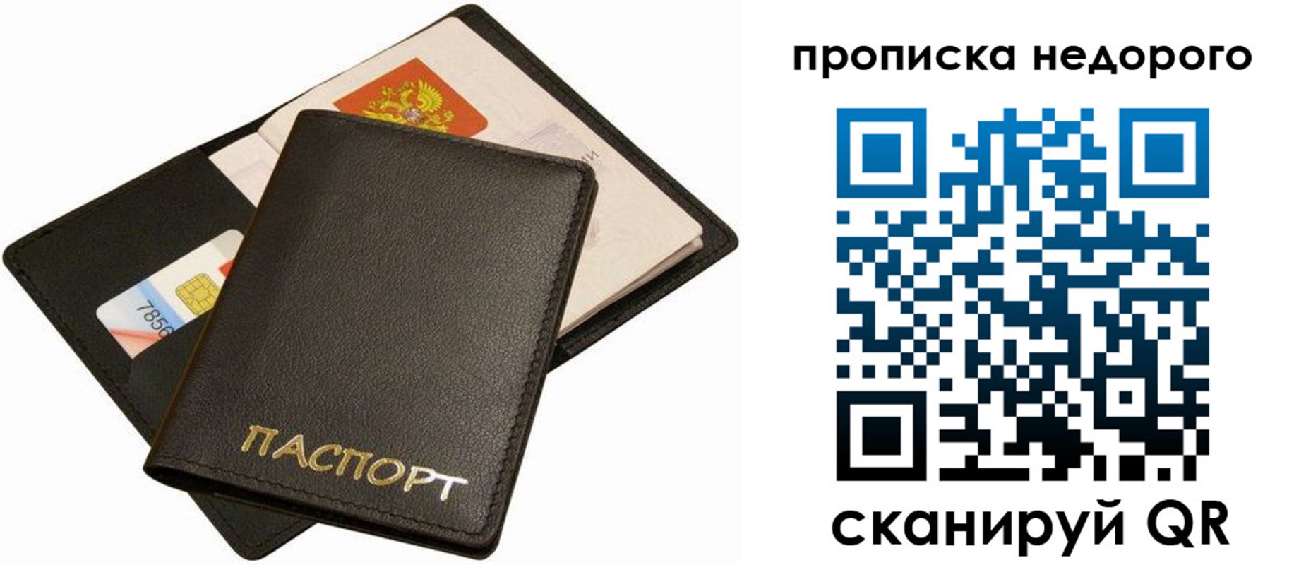 временная регистрация поиск в Амурской области